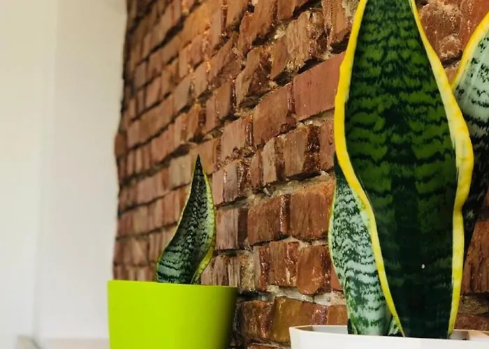 Sela Rent- & Optional Car Hire Herberg